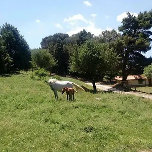  Farm stay Bosco Pianetti Italy